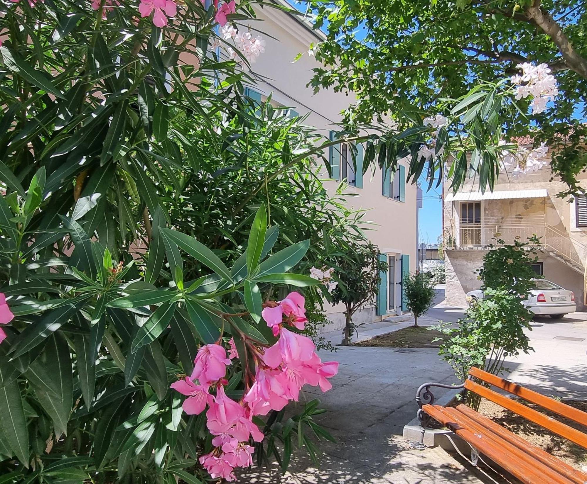 Dea Del Mar Izola